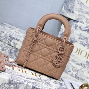 DIOR LADY BAG<br>디올 레이디 백<br>[17cm 카프스킨]