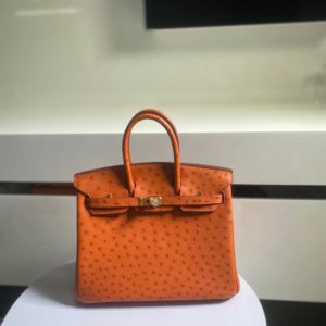 [HERMES] BIRKIN BAG 에르메스 버킨백 25cm 타조가죽